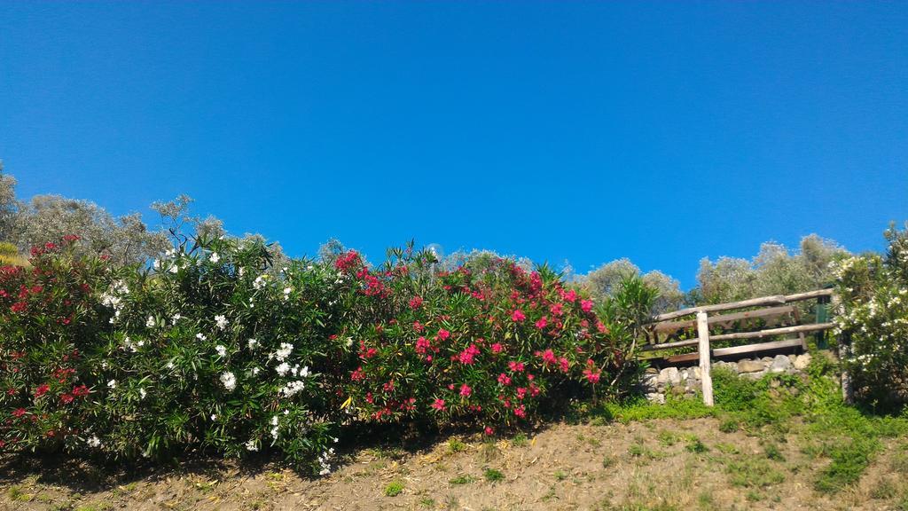 Agriturismo La Quiete Levanto Exteriér fotografie
